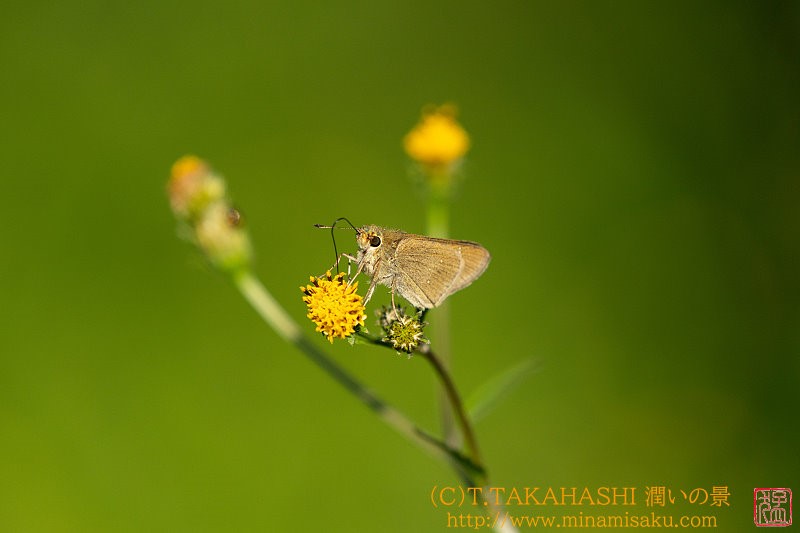 ../Images/7R241013 (416).jpg